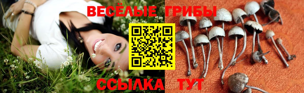 Галлюциногенные грибы GOLDEN TEACHER Добрянка